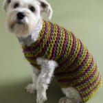 knitting dog sweater free pattern