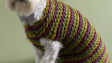 knitting dog sweater free pattern