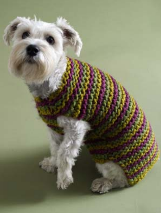 knitting dog sweater free pattern