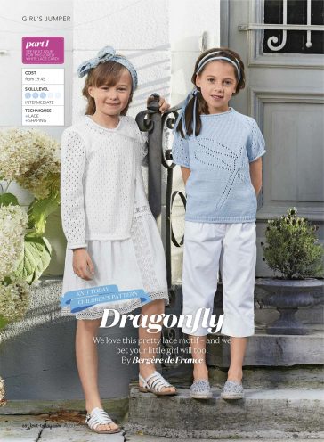 Droganfly motif Jumper Free Knit Pattern